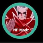 NP Modz
